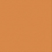 CARD STOCK 216GSM 5pack - Avalara 12 x 12
